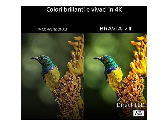 Sony K-55B20 TV LED 55" Smart TV Google TV 4K UHD Processore 4K X1 COD BRAVIA 2 II