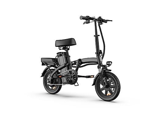 UrLife F1L Bicicletta Elettrica Pieghevole 250W 48V 7.5Ah Ruote 14