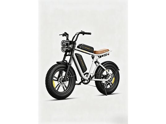Engwe M20 Bicicletta Elettrica da Cross Doppia Batteria 48V Bianco