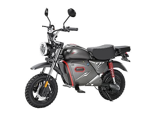 iScooter Y18 Monopattino Elettrico 2000W Smart 48V 20Ah