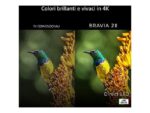 Sony K-75B20 TV LED 75" Smart TV Google TV 4K UHD Processore 4K X1 COD BRAVIA 2 II - immagine 2