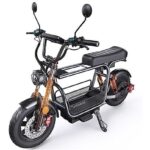 iScooter DX5 Monopattino Elettrico 1500W 48V 15.6Ah Ruote Max 15'' Nero